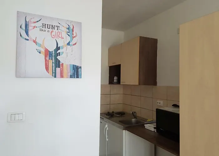 Apartmenthaus Beim Lkh I Free Parking I Self Check-in Pensión Graz